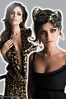 Rachel Bilson XV
