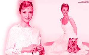 Audrey Hepburn X