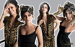 Rachel Bilson XV