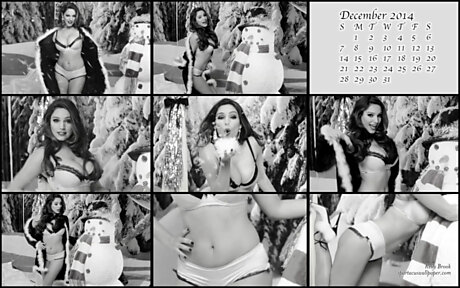 December 2014 - Kelly Brook