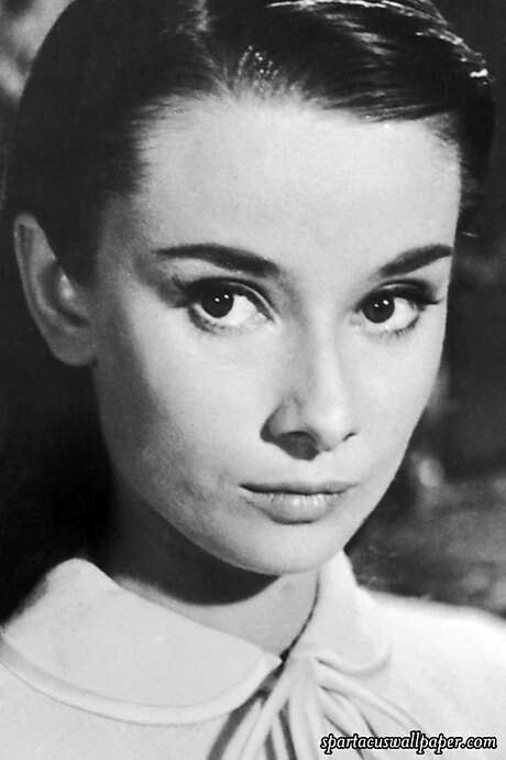 Audrey Hepburn IX