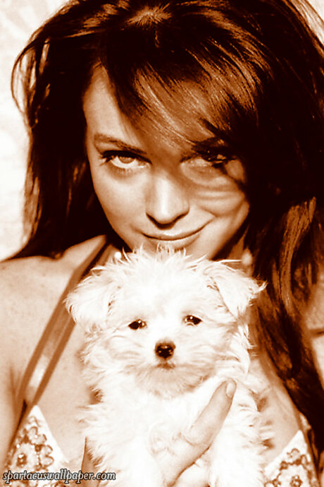 Lindsay Lohan III