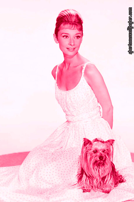 Audrey Hepburn X