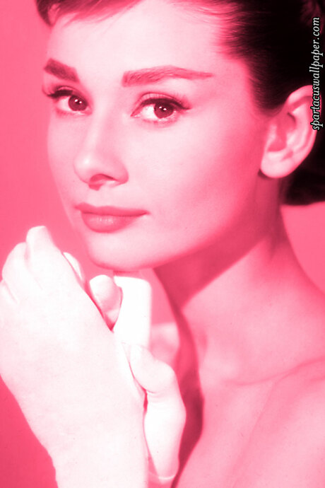 Audrey Hepburn XIV