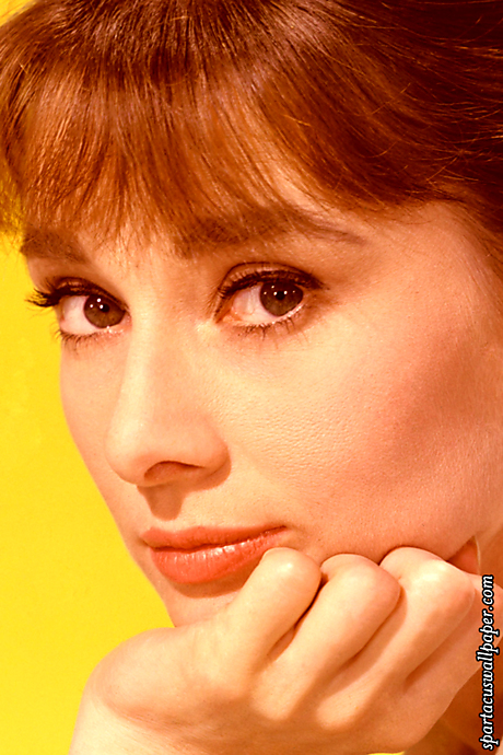 Audrey Hepburn XII