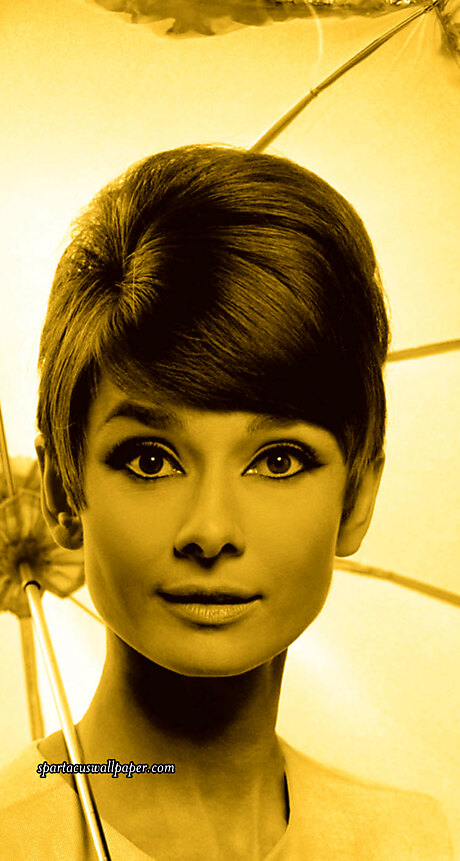 Audrey Hepburn XII