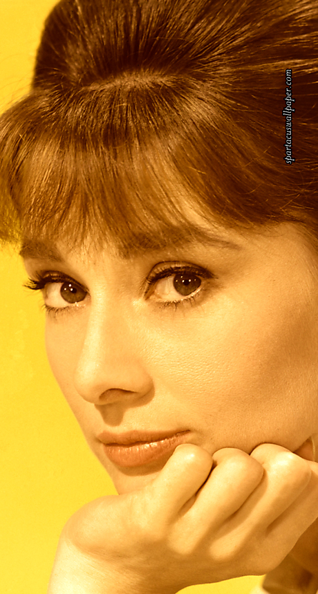 Audrey Hepburn XII