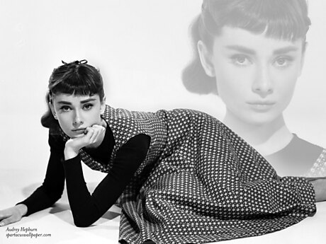 Audrey Hepburn VII