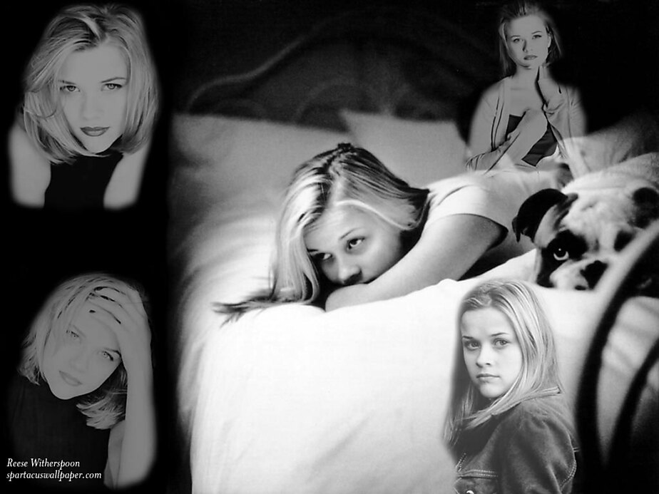 Reese in the Darkness