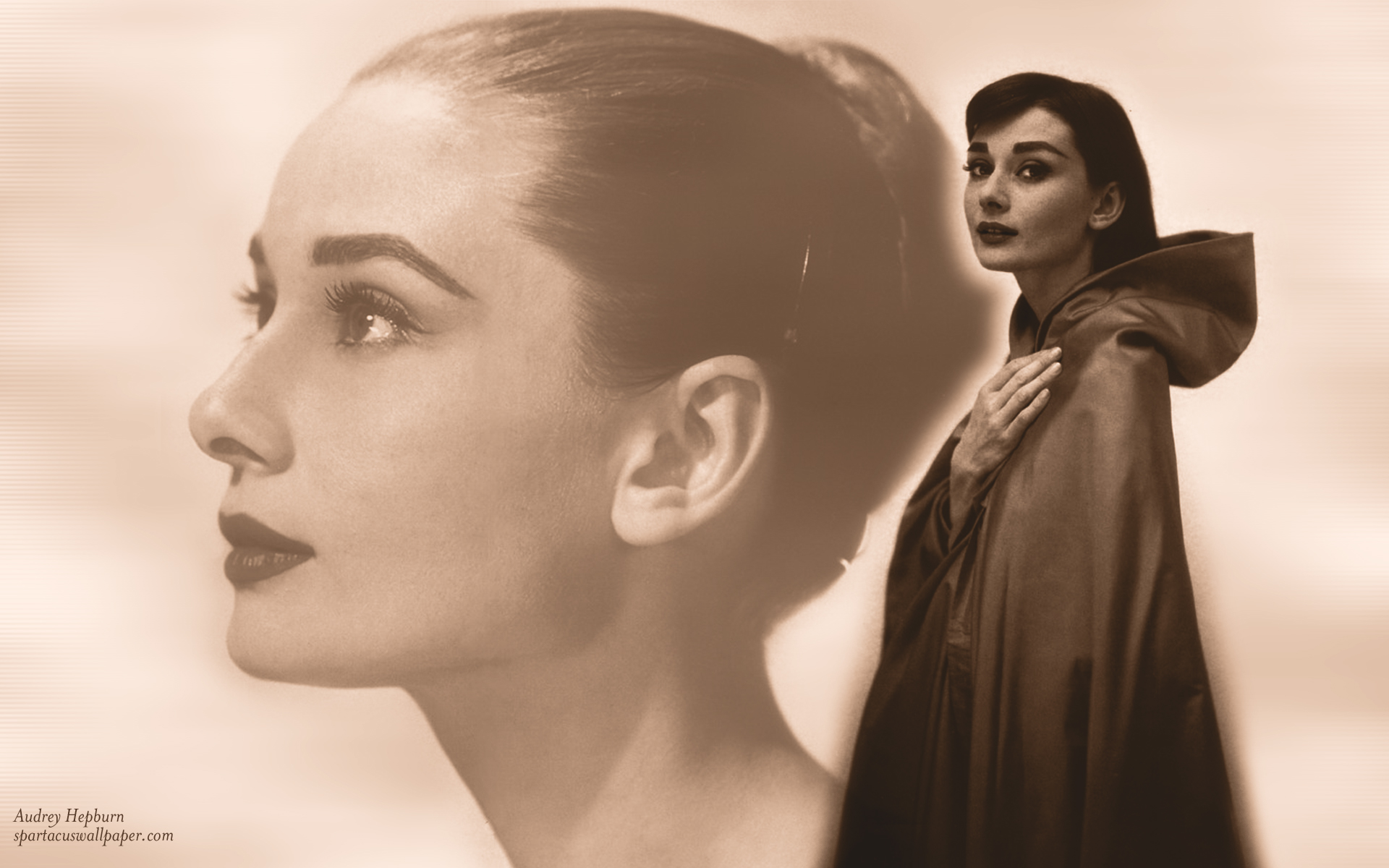 Audrey hepburn 3/50, audrey hepburn backgrounds HD wallpaper | Pxfuel