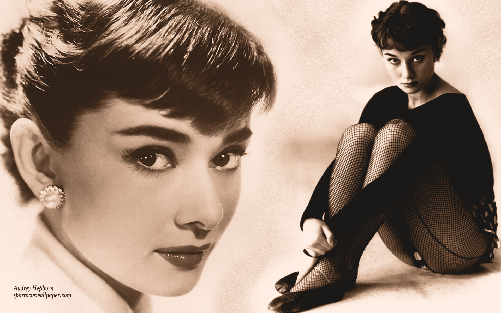 Audrey Hepburn Desktop Wallpaper 67 pictures