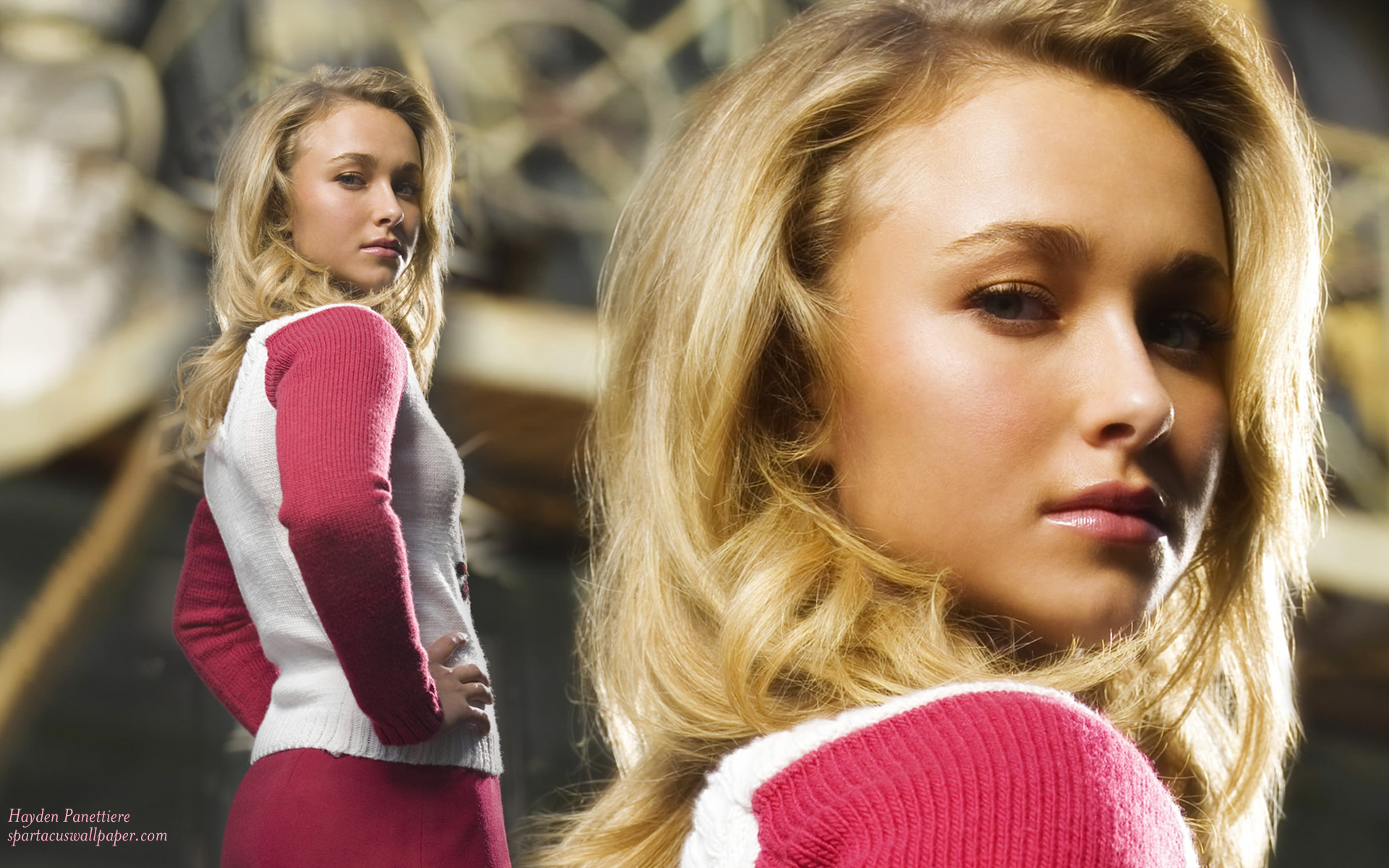 Hayden Panettiere 13 HD wallpaper  Pxfuel